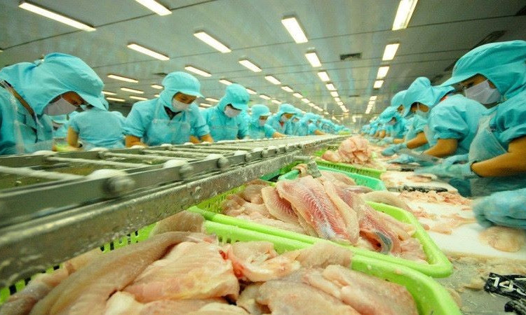 Mỹ miễn thuế chống bán phá giá cho 7 doanh nghiệp cá tra Việt Nam