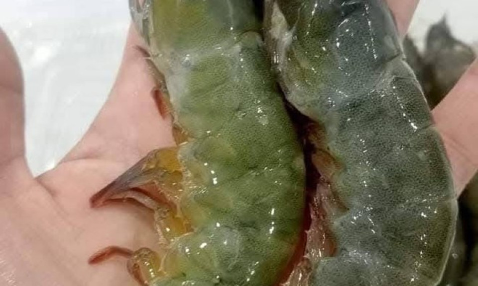 Lưu ý cách chọn, chế biến tôm tốt cho thận