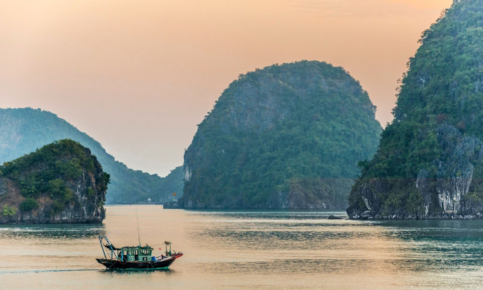 Ảnh trong văn bản