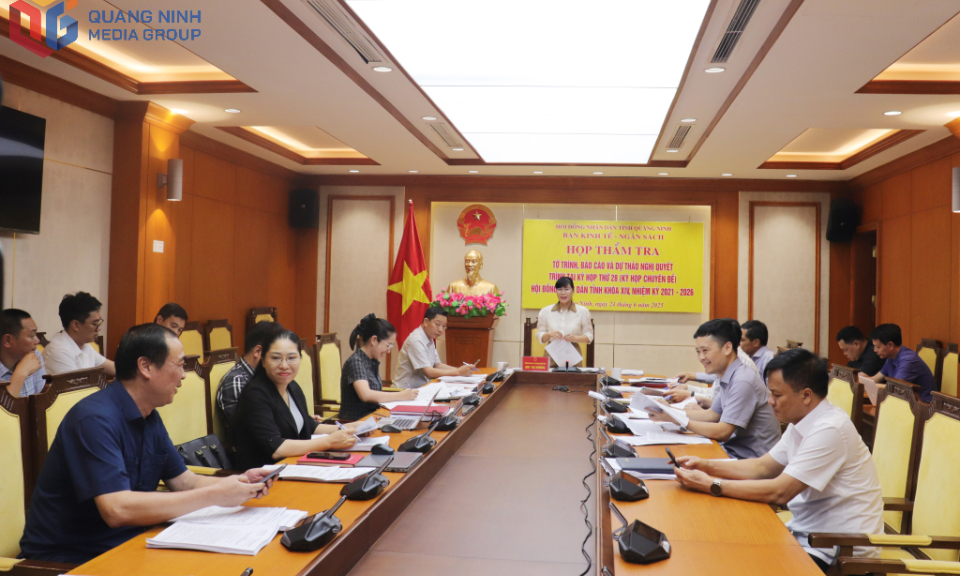 Ban Kinh tế - Ngân sách HĐND tỉnh thẩm tra tờ trình, dự thảo nghị quyết 