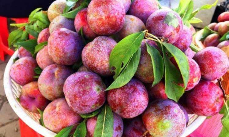 6 lợi ích 'vàng' từ quả mận không phải ai cũng biết