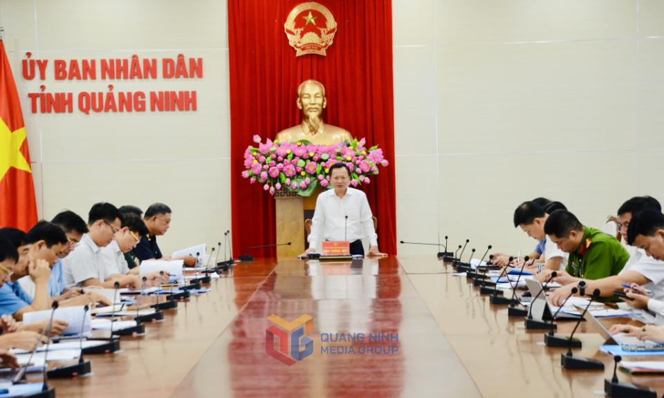 54 chủ tịch xã, phường, đặc khu phải tham gia vào Ban Chỉ đạo 389 tỉnh