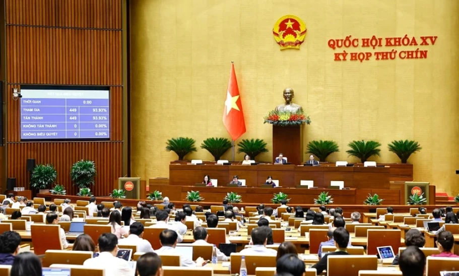 Nghị quyết chỉ định Chủ tịch, Phó Chủ tịch Hội đồng Nhân dân các tỉnh, thành phố
