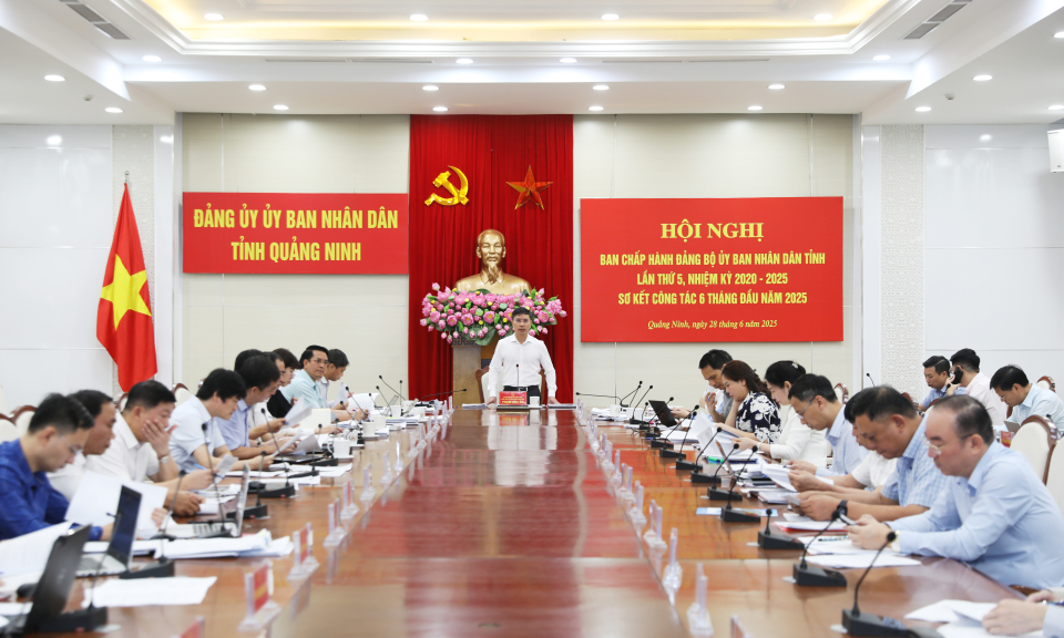 Đảng ủy UBND tỉnh sơ kết công tác 6 tháng năm 2025
