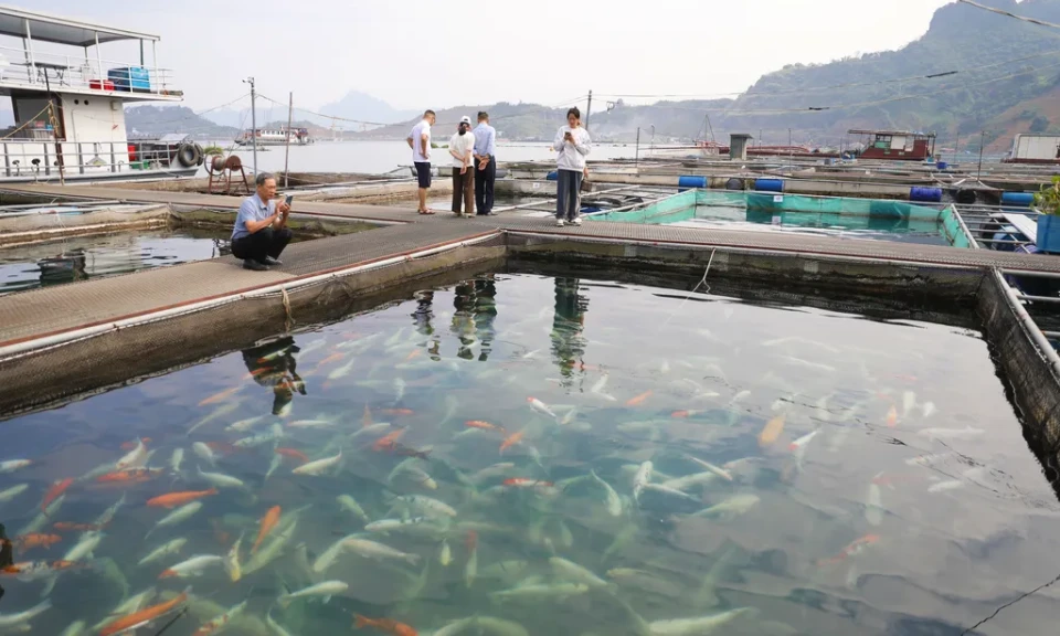 Tourism combined with fishing creates sustainable development