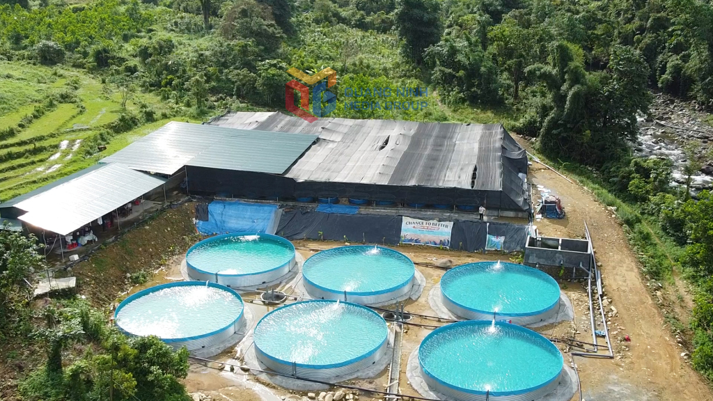 Từ cá nhân nuôi cá tầm thương phẩm đầu tiên ở xã Quảng An thành công, đến nay anh Vũ Đình Hảo đã thành lập Hợp tác xã Cá Tầm bản Sẹc Lống Mìn.