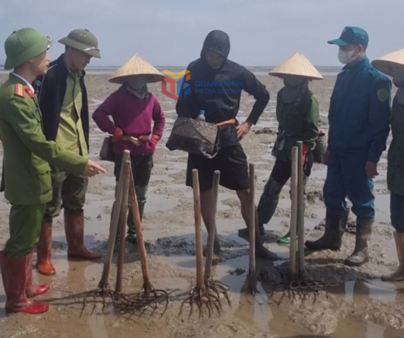 Phối hợp kiểm tra và tuyên truyền cho nhân dân không sử dụng cào, cuốc để đào sá sùng.
