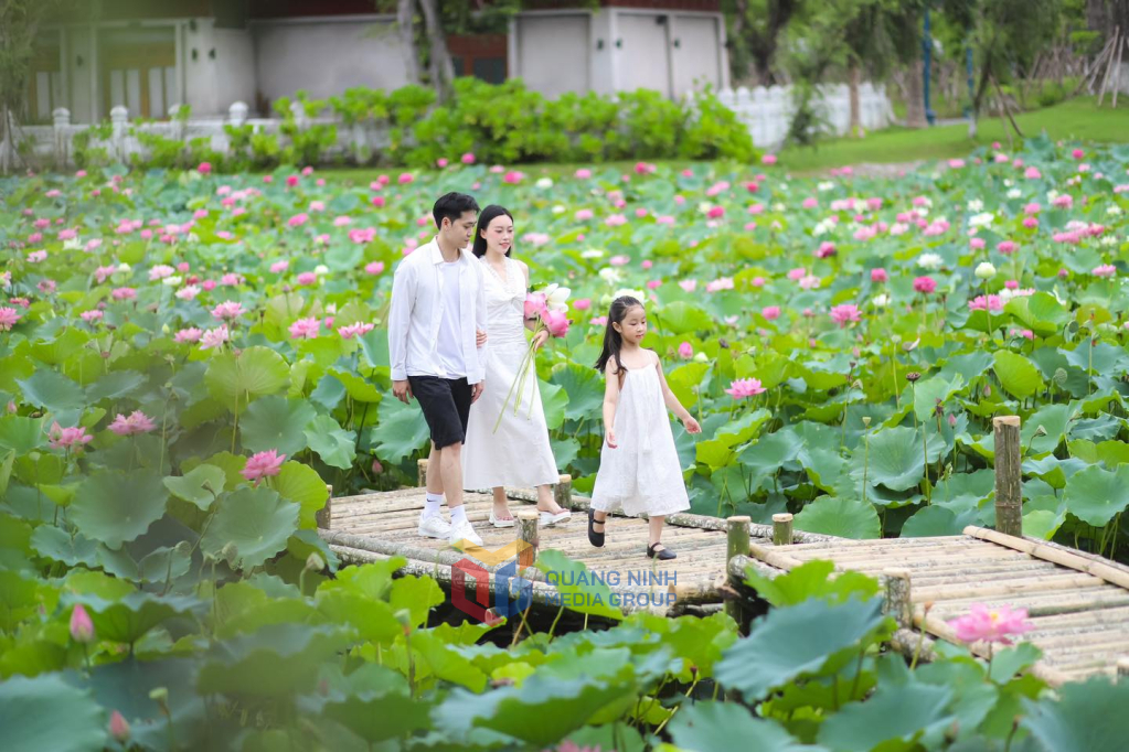 Du khách tham quan hồ sen tại Tổ hợp vui chơi giải trí Sun World.