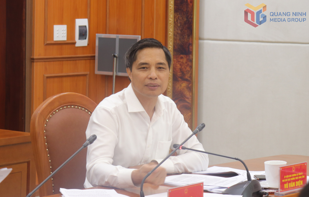 Vũ Văn Diện, Phó Chủ tịch Thường trực UBND tỉnh.