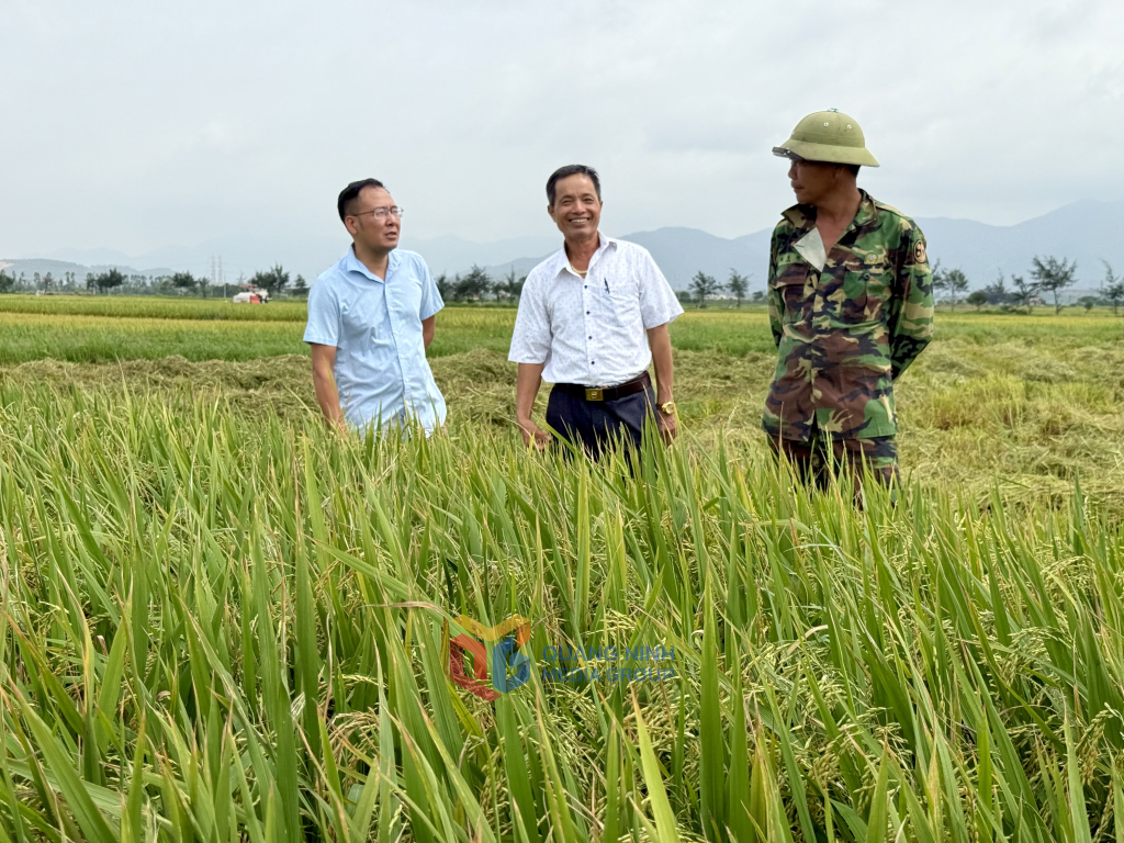 Vụ lúa Xuân 2025 được mùa, nông dân trong tỉnh phấn khởi.