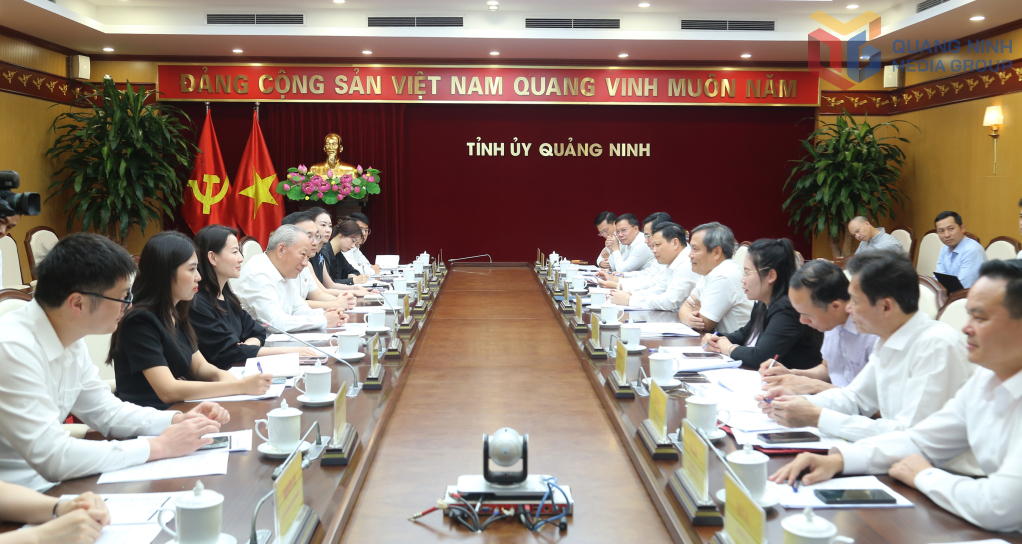 Quảng Ninh làm việc với Tập đoàn Xây dựng Thái Bình Dương (Trung Quốc) và Tập đoàn FPT