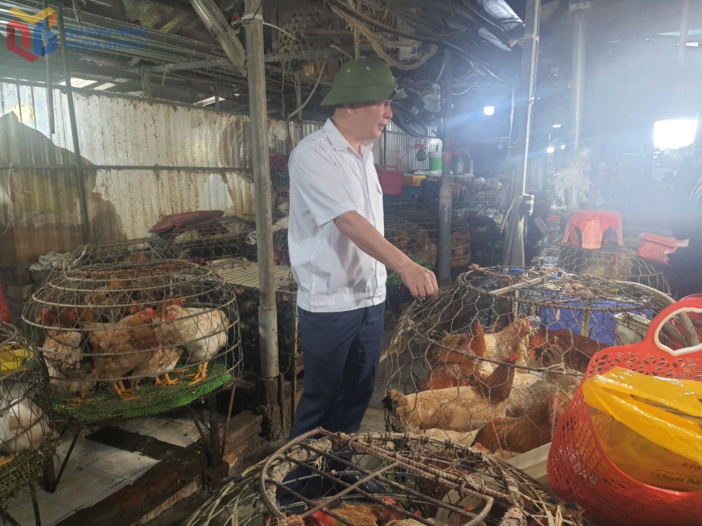 Cán bộ BQL chợ 3 Móng Cái kiểm tra khu vực bán gà sống tại chợ. 