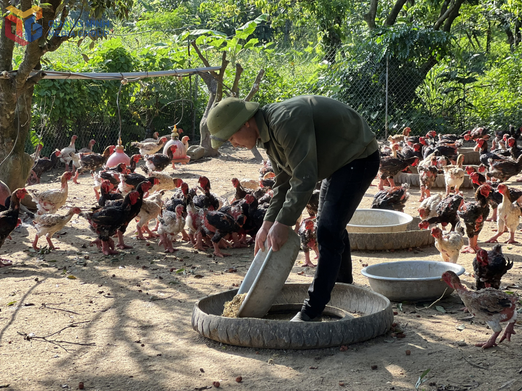 Lý Văn Tiếp, thôn Bằng Cả 2, xã Quảng La