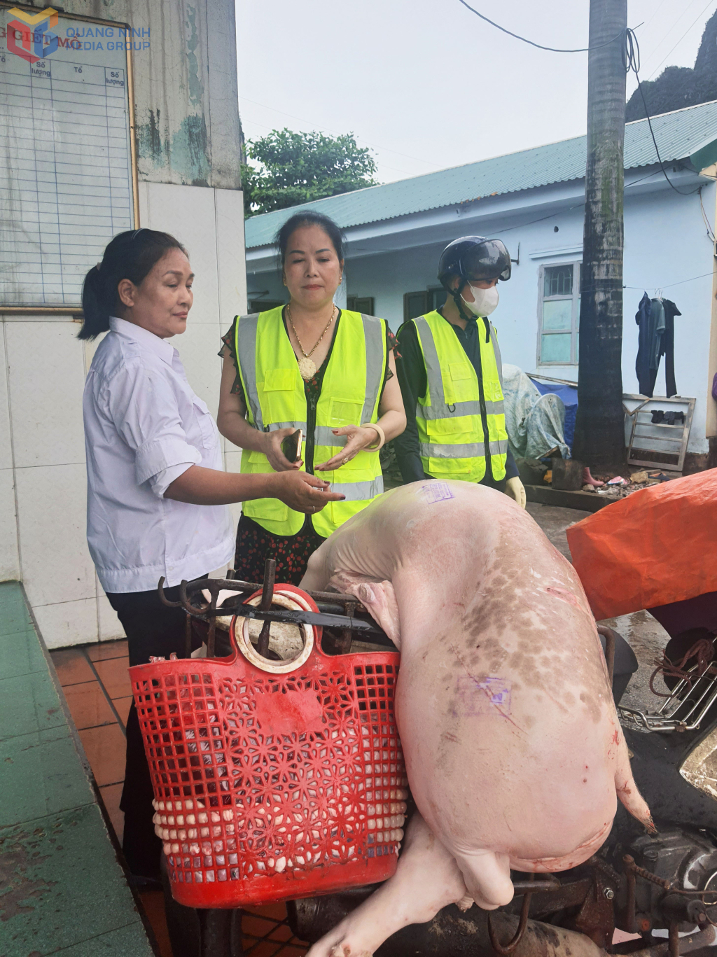 Cán bộ thú y kiểm tra sản phẩm lợn sau giết mổ tại cơ sở giết mổ GSGC Thái Hoà (phường Cẩm Phả)