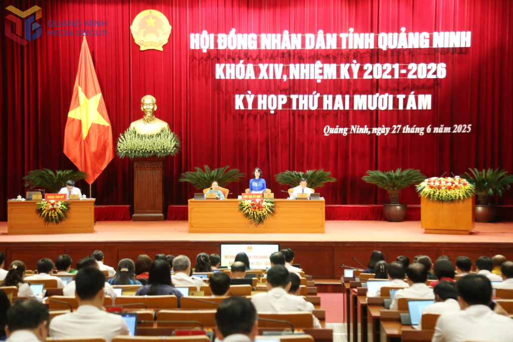 Kỳ họp thứ 28 HĐND tỉnh, các đại biểu thảo luận tại hội trường. 