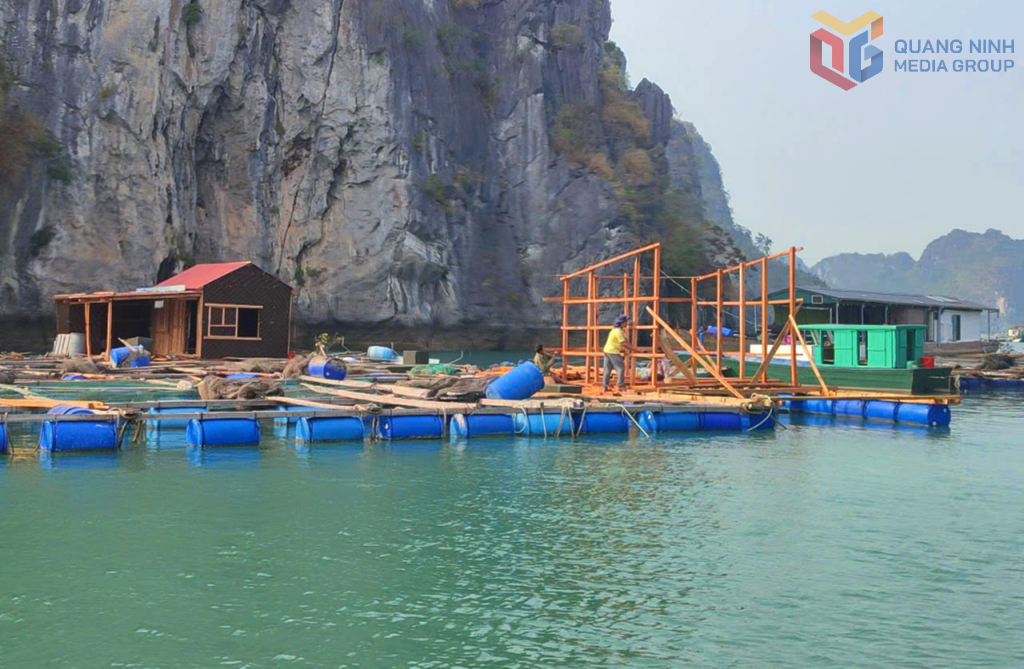 Người dân đặc khu Vân Đồn thực hiện gia cố khu vực nuôi biển ổn định sản xuất.