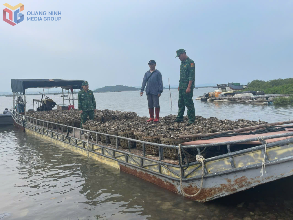 Lý Văn Xuân cùng chiếc bè chở 4 tấn hàu trái phép từ Trung Quốc về Việt Nam