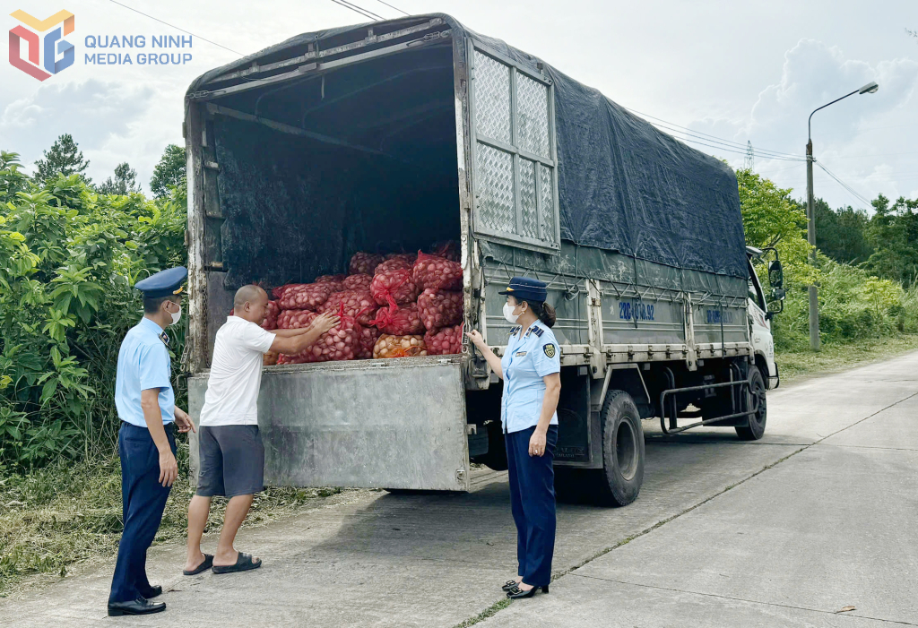Đội QLTT số 1, khám phương tiện vận chuyển 9.100kg ngao không rõ nguồn gốc, xuất xứ ngày 28/6/2025.