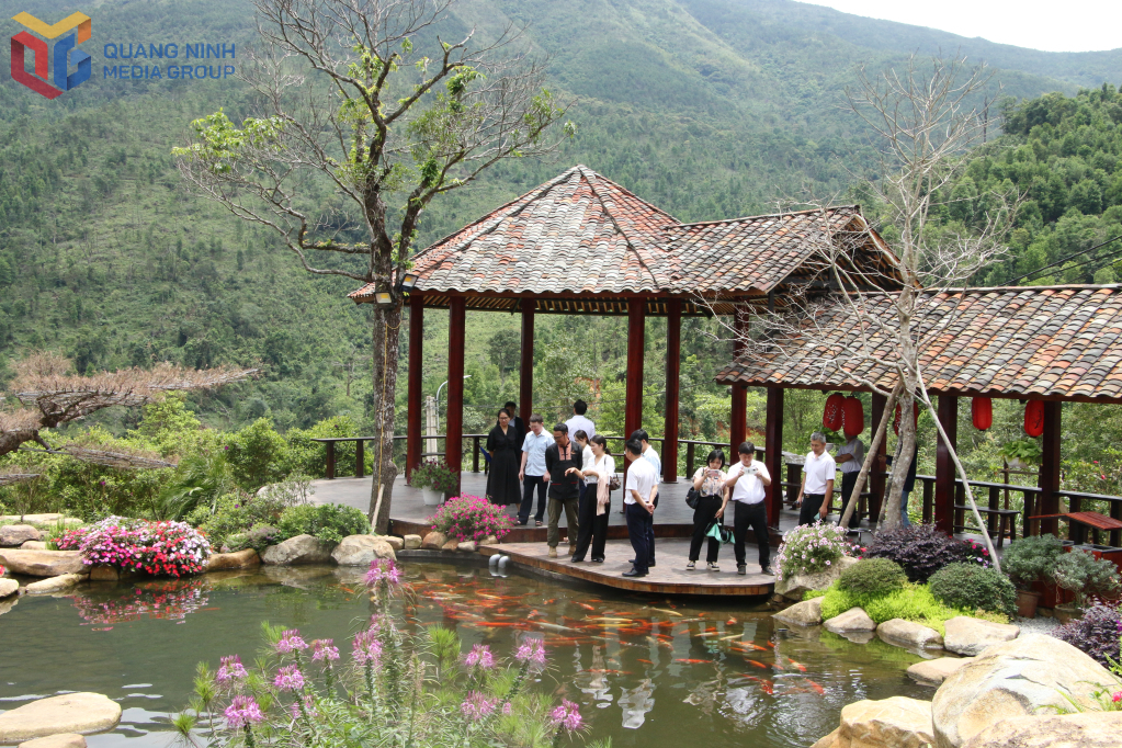 Bình Liêu Farmstay - mô hình du lịch sinh thái, nghỉ dưỡng của HTX Hoa Bình Liêu.