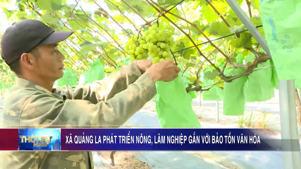 Xã Quảng La phát triển nông, lâm nghiệp gắn với bảo tồn văn hóa