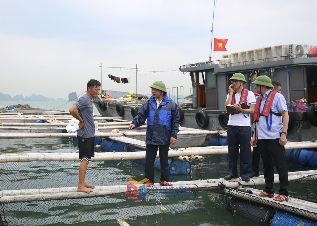 Đồng chí Cao Tường Huy, Bí thư Đảng uỷ, Chủ tịch HĐND Đặc khu Vân Đồn kiểm tra khu vực nuôi bè và vận động người dân lên bờ tránh trú bão an toàn.
