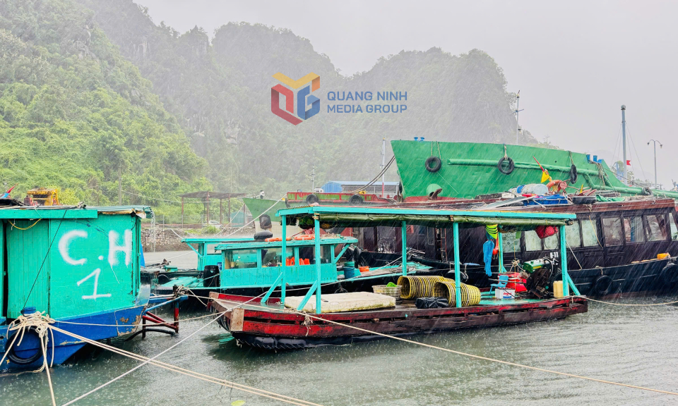 Tàu thuyền về nơi tránh trú bão tại khu vực Vũng Đục, phường Cẩm Phả.