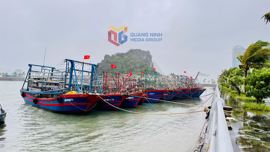Các tàu khai thác thủy sản hiện vẫn được neo đậu, tránh trú tại Bến cảng cao cấp Ao Tiên.