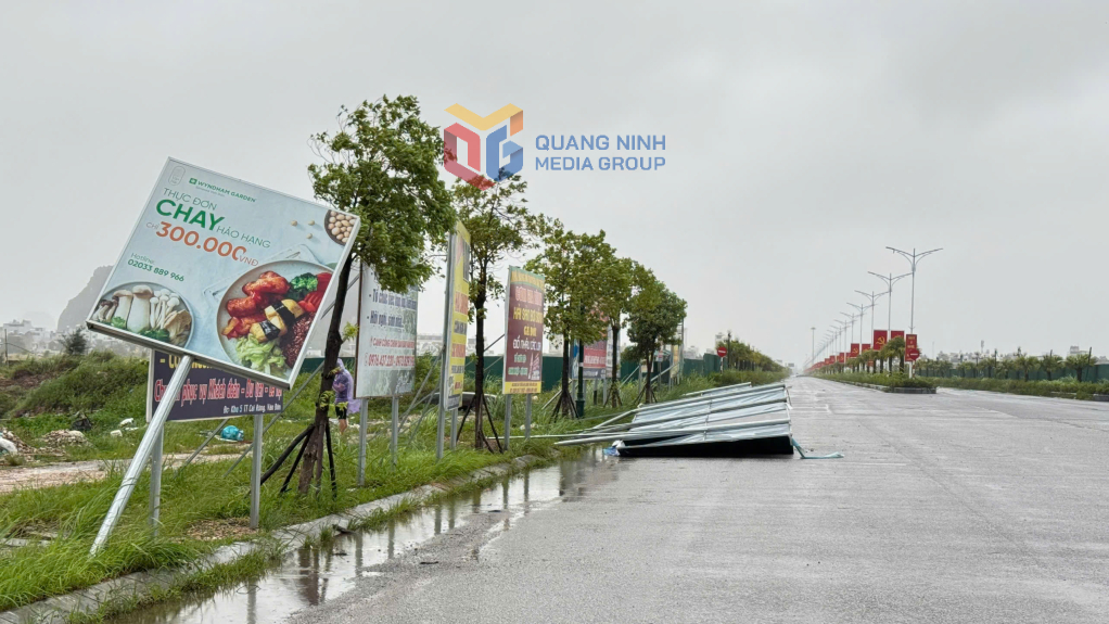 Một vài tấm biển quảng cáo bị đổ gãy trên trục đường trung tâm đô thị Cái Rồng.