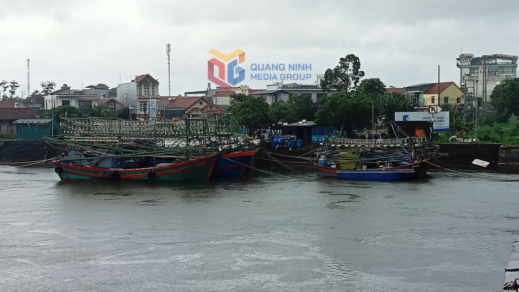 Tàu thuyền neo đậu tại khu vực neo đậu sông Hà Cối