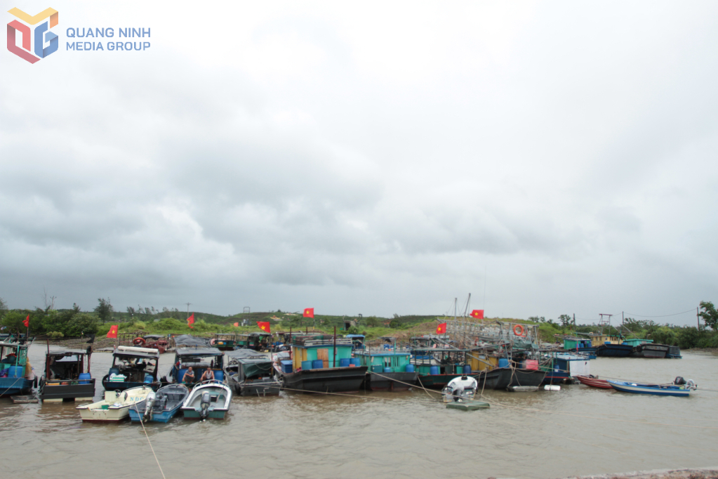 Các điểm neo đậu tàu thuyền vẫn an toàn.