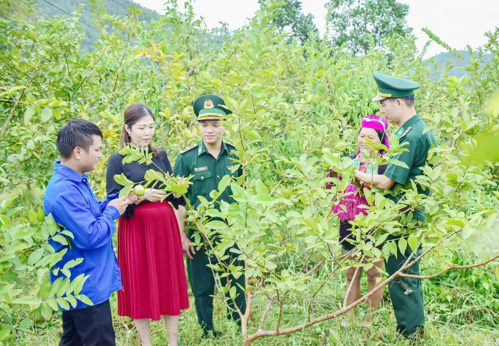 Lực lượng BĐBP thường xuyên xuống địa bàn động viên, hướng dẫn người dân chăm sóc cây trồng, vươn lên phát triển kinh tế. 