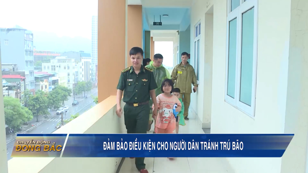 Đảm bảo các điều kiện để người dân tránh trú bão an toàn