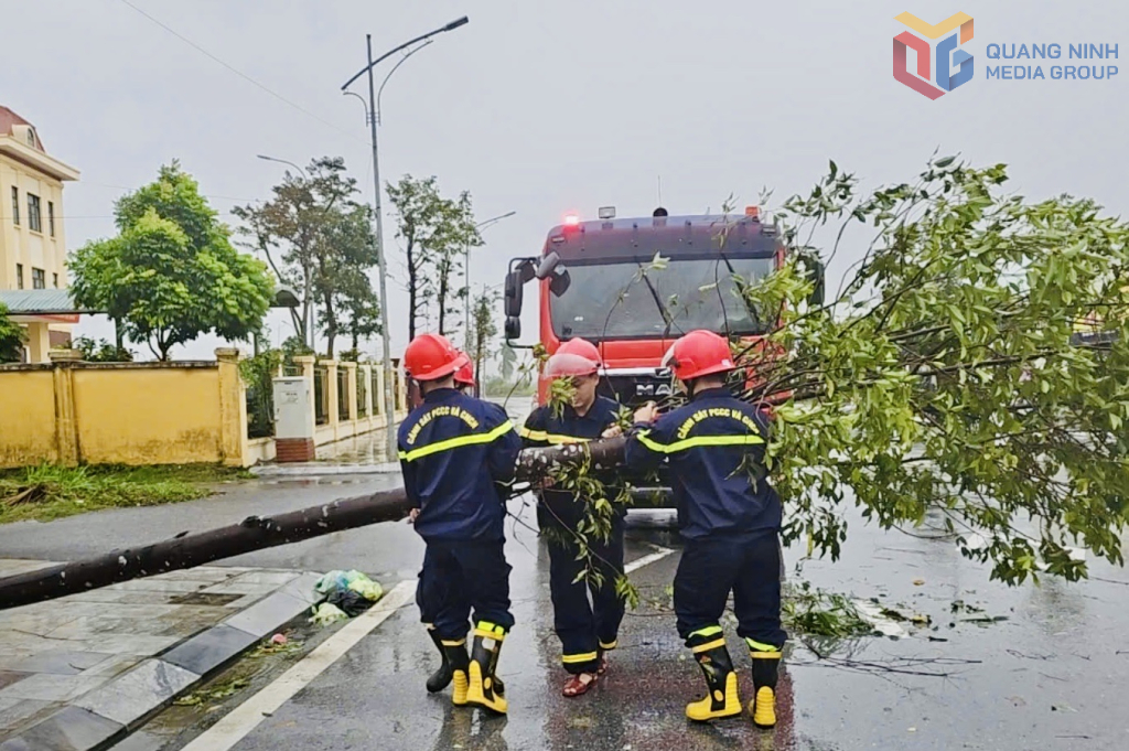 Lực lượng Cảnh sát PCCC&CNCH (Công an tỉnh) dựng cây bị đổ bên đường.
