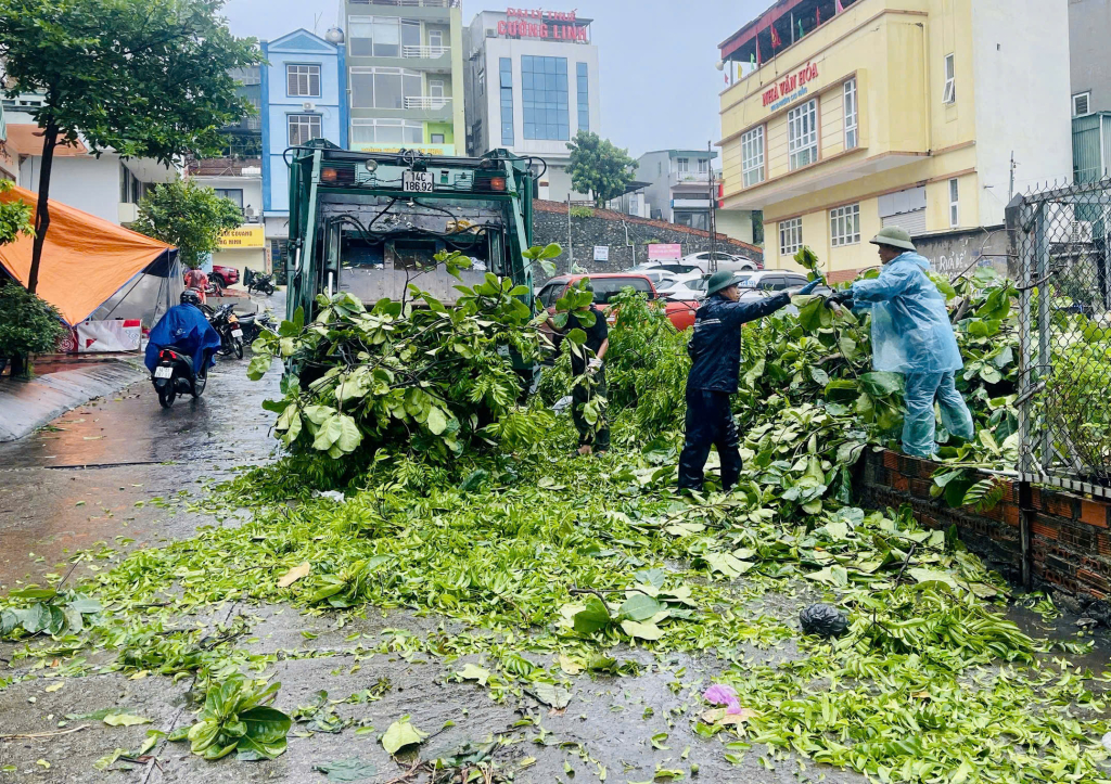 Cây xanh đổ, gãy, sau khi được cắt cảnh, đơn vị môi trường sẽ vận chuyển đi xử lý.
