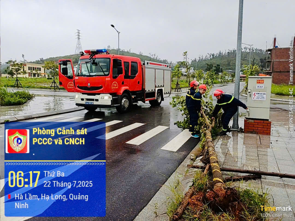 CBCS Phòng Cảnh sát PCCC&CNCH (Công an tỉnh) xử lý cây gãy, đổ trong khu đô thị Lideco, phường Hà Lầm vào sáng nay 22/7.