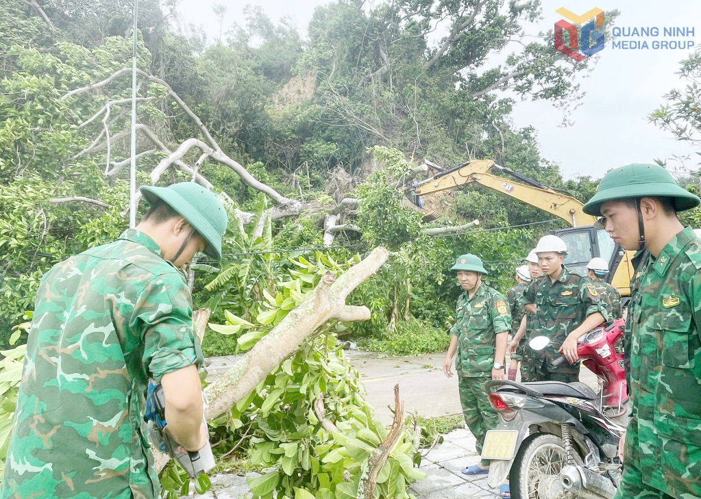 CBCS Đồn Biên phòng Thanh Lân giúp người dân thôn 1, Đặc khu Cô Tô chặt cây đổ chắn đường giao thông.