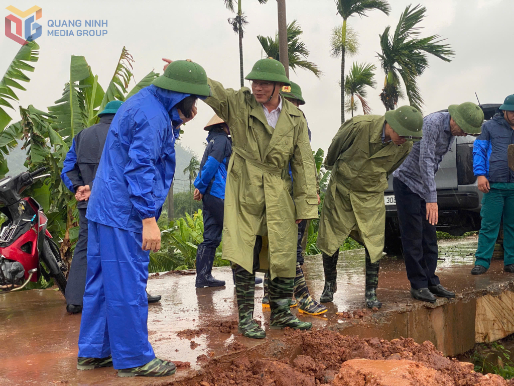 Lãnh đạo phường Hoàng Quế kiểm tra, rà soát các trọng điểm đê điều, khu vực có nguy cơ sạt lở