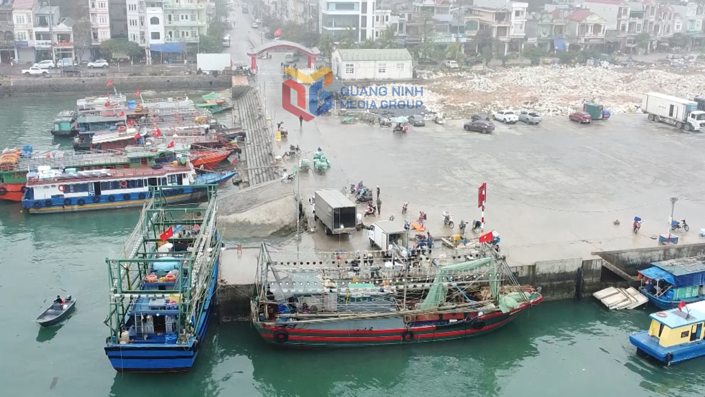 Cảng cá Cái Rồng đón tàu cá vào bốc dỡ hàng hóa đánh bắt.