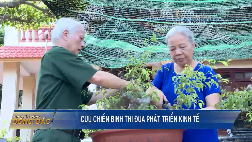 Cựu chiến binh thi đua phát triển kinh tế
