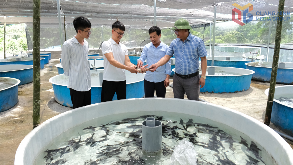 Mô hình nuôi cá tầm của HTX cá tầm Siệc Lống Mìn