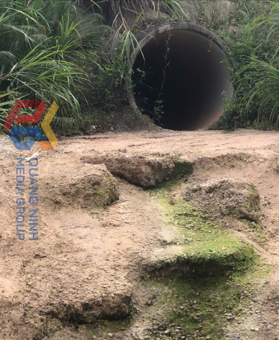Khu vực cống xả thải từ trang trại chăn nuôi lợn xả ra môi trường (Ảnh: Người dân cung cấp)