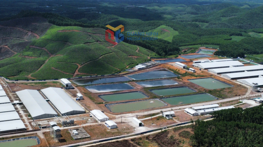Trang trại chăn nuôi lợn công nghệ cao do Công ty CP chăn nuôi Greentech làm chủ đầu tư giữa vùng rừng núi thuộc thôn Quảng Sơn 4, xã Đường Hoa