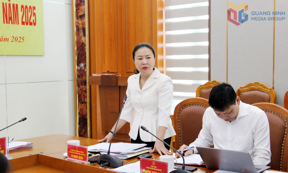 Đồng chí Vi Ngọc Bích, Phó Chủ tịch Thường trực HĐND tỉnh, phát biểu tại phiên họp.