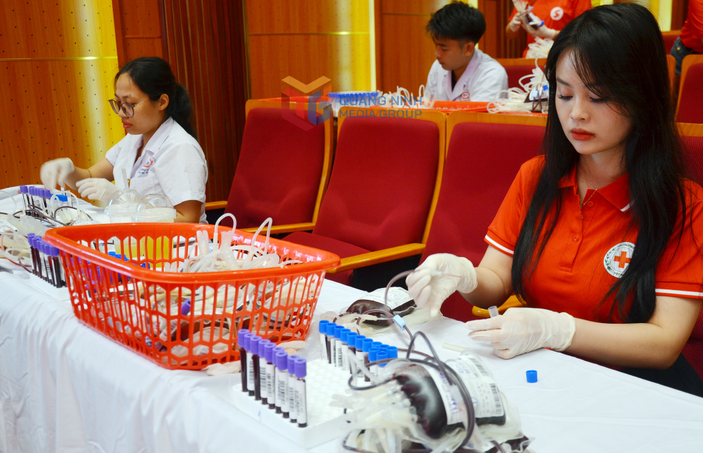 Tình nguyện viên và nhân viên y tế gom những bịch máu đưa về cơ sở lưu trữ