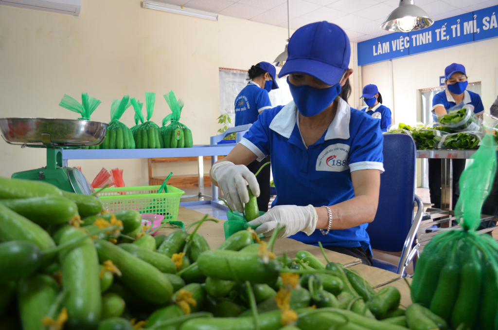 Ảnh với chú thích