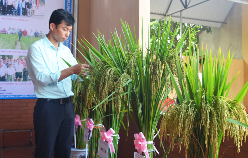Ảnh với chú thích
