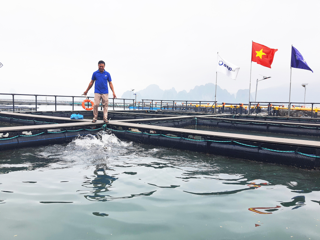 Ảnh với chú thích