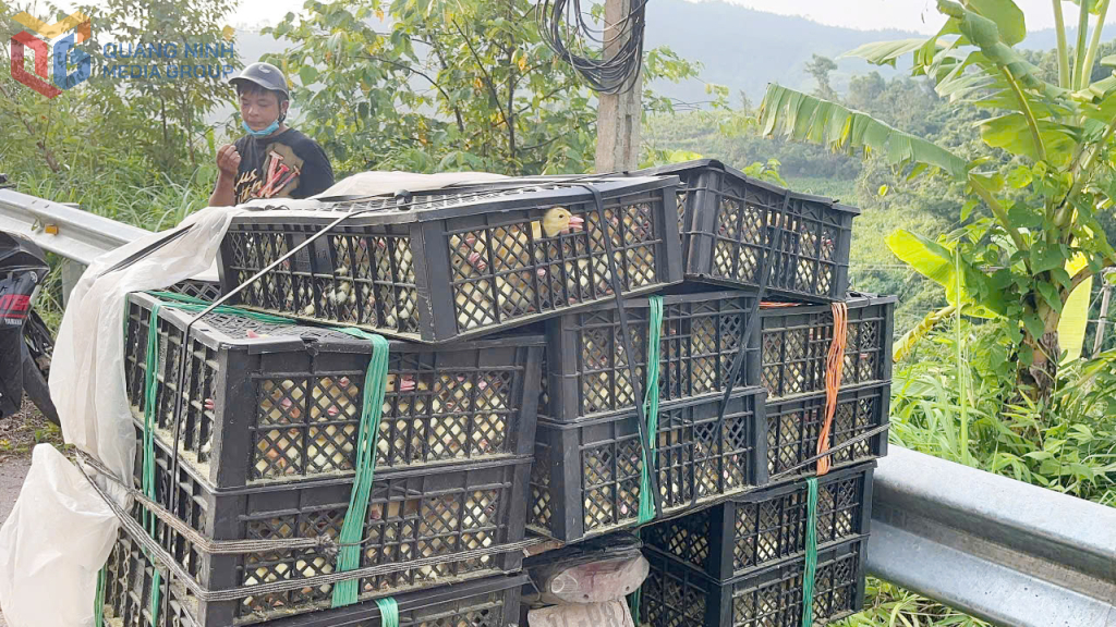 Đối tượng Lý Xuân Thành cùng tang vật bị lực lượng chức năng bắt giữ. 