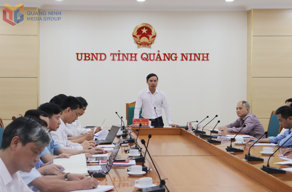 Đồng chí Phạm Đức Ấn, Phó Bí thư Tỉnh ủy, Chủ tịch UBND tỉnh, phát biểu tại buổi làm việc.