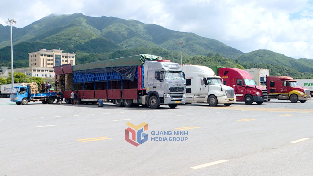 Kim ngạch xuất nhập khẩu qua Cửa khẩu Bắc Phong Sinh, xã Quảng Đức đạt trên 46 triệu USD trong 7 tháng năm 2025.